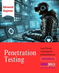 penetration testing insta penetration testing course